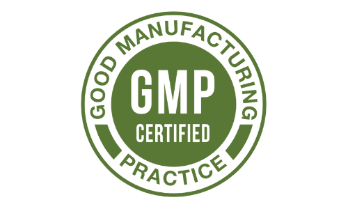 1768034735_brain-ear connection.png